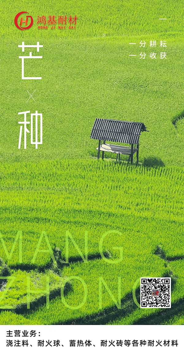 今日芒种！一份耕耘，一份收获